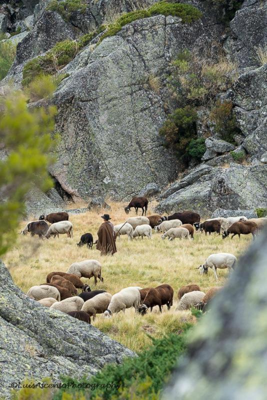 Apartmán Senhora Da Estrela Al Seia Exteriér fotografie